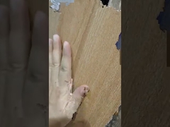 Εισαγωγή κεραμικών πλακιδίων ξύλου σειράς 200x1200mm