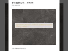 Κομψά Εσωτερικά Πορσελάνινα Πλακίδια σε Λευκό Χρώμα για Ανθεκτικές Λύσεις Δαπέδου