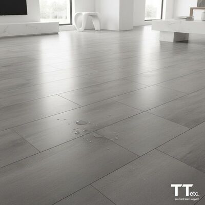 Εύκολο στο καθάρισμα πλακάκι πορσελάνης με όψη τσιμέντου που συνδυάζει εύκολη συντήρηση με μοντέρνο σχεδιασμό, υποστηριζόμενο από ομάδα πληρωμών ΤΤ κ.λπ.