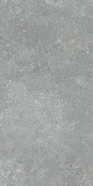 Ματ 600*1200mm κεραμίδι κεραμιδιών πορσελάνης μη ολίσθησης και πατωμάτων κεραμιδιών κεραμικό