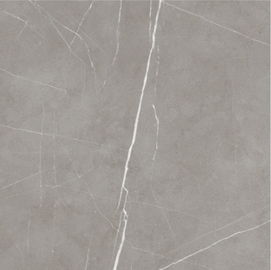 Εσωτερικό σχέδιο 60x60cm πατωμάτων κεραμικών κεραμιδιών γκρίζο χρώμα λεπτά για την κρεβατοκάμαρα και το καθιστικό