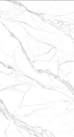 Ματ επιφάνειας 1200*2400 μεγάλο πλακών πατωμάτων κεραμιδιών άσπρο χρώματος καυτό κεραμίδι πορσελάνης πωλήσεων εσωτερικό στο απόθεμα