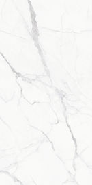 Το πάτωμα κεραμιδιών Modernporcelain κεραμώνει το νέο μάρμαρο Foshan Κίνα σχεδίου φαίνεται μέγεθος 1200*2400mm κεραμιδιών