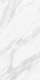 Έξοχο μεγάλο μέγεθος 1200x2400mm κεραμίδι πλακών πορσελάνης για το μεγάλο τετραγωνικό δάπεδο κεραμιδιών τοίχων και πατωμάτων